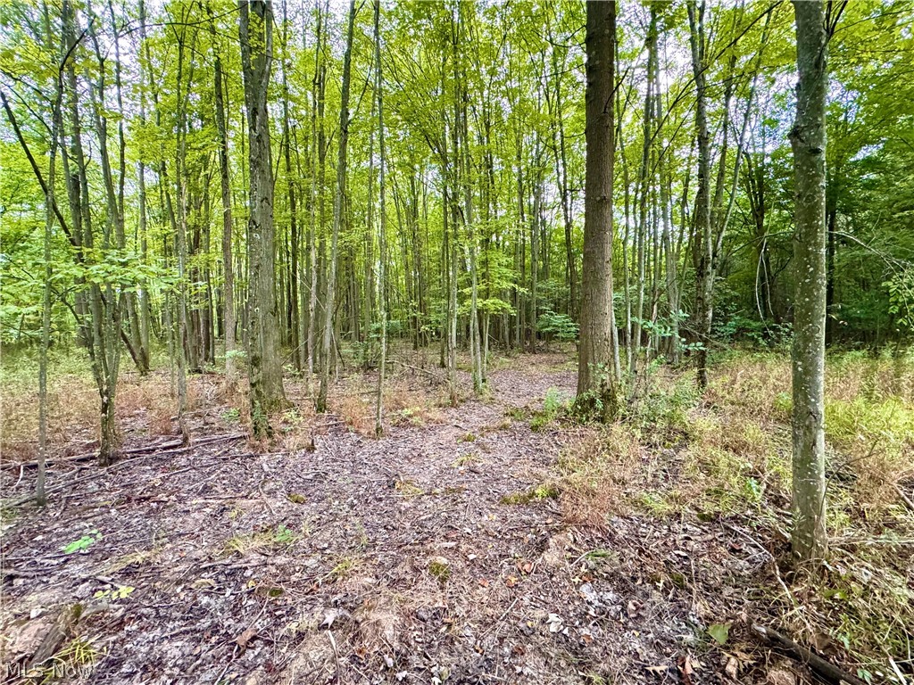 Oyster Road North Benton OH 44601