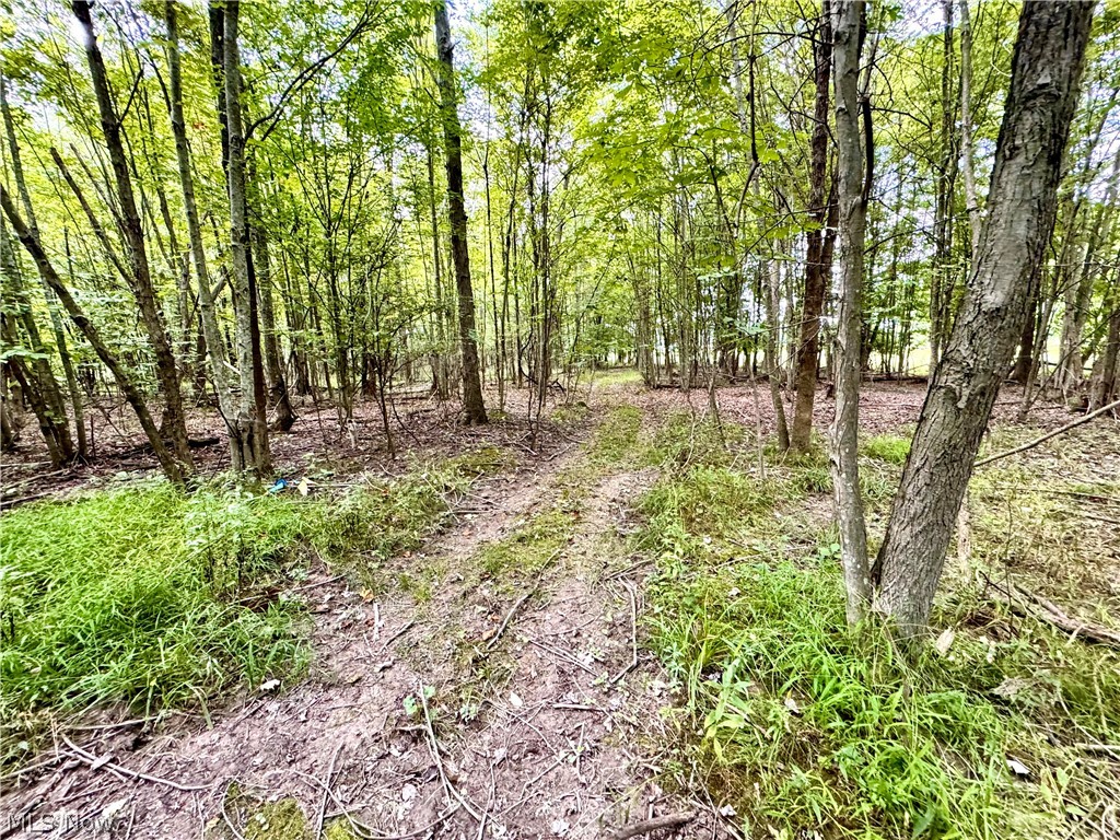 Oyster Road North Benton OH 44601