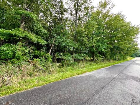 Oyster Road North Benton OH 44601