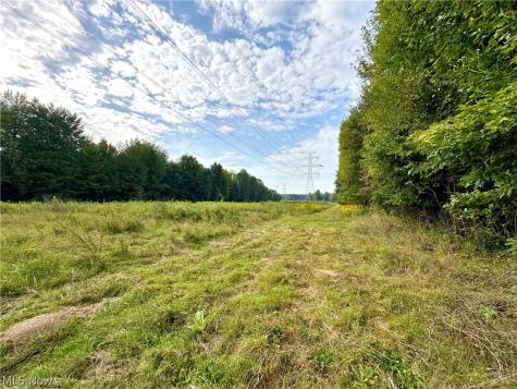 Oyster Road North Benton OH 44601