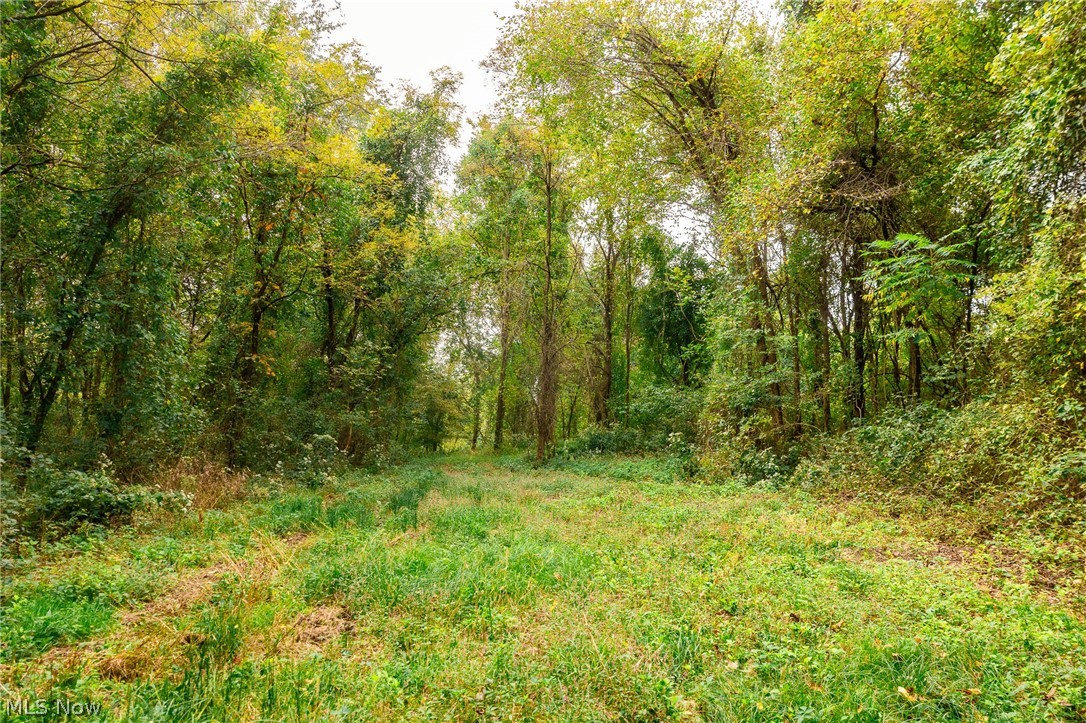 163 County Road 3 Rayland OH 43943