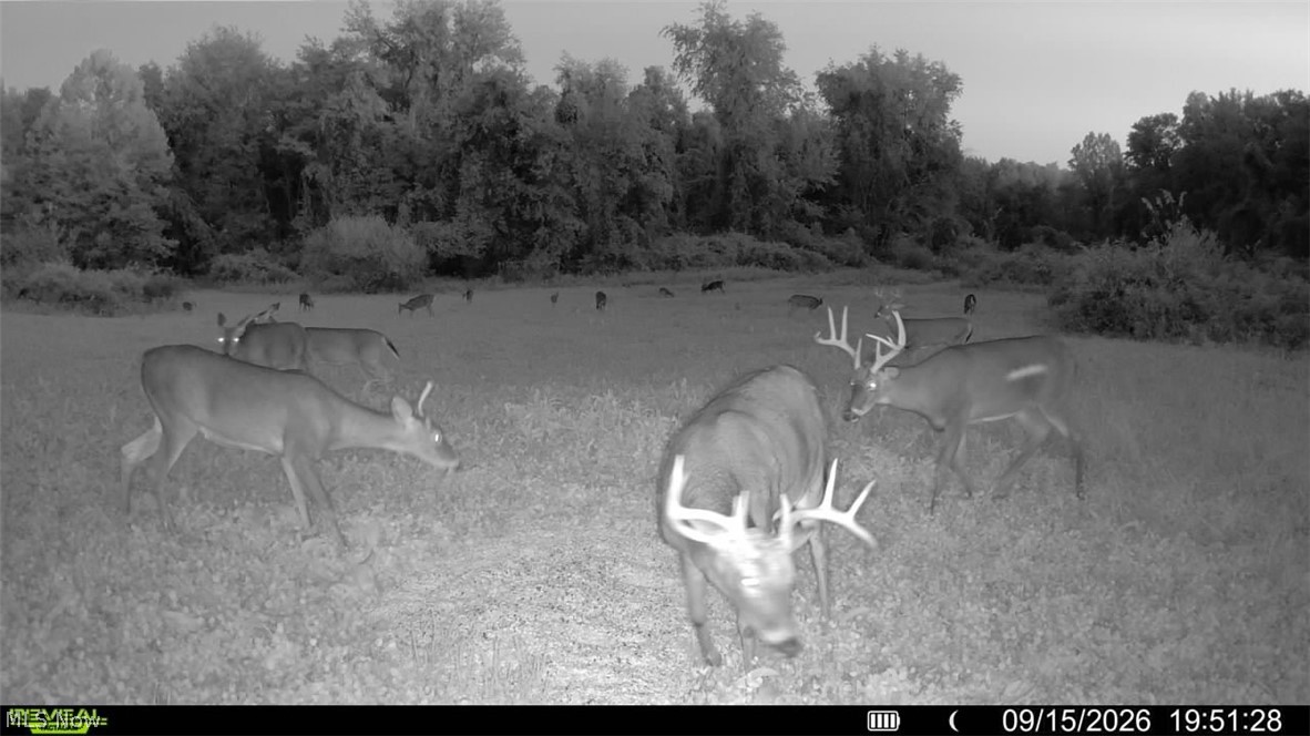 163 County Road 3 Rayland OH 43943