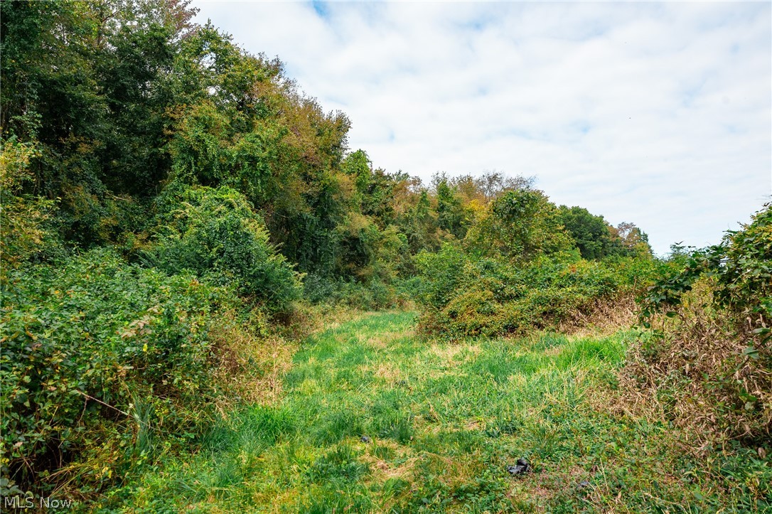 163 County Road 3 Rayland OH 43943
