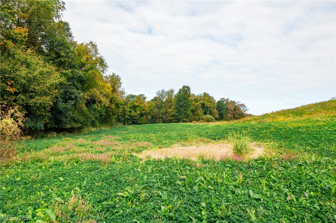 163 County Road 3 Rayland OH 43943