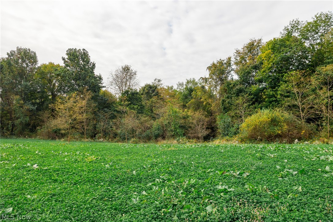 163 County Road 3 Rayland OH 43943