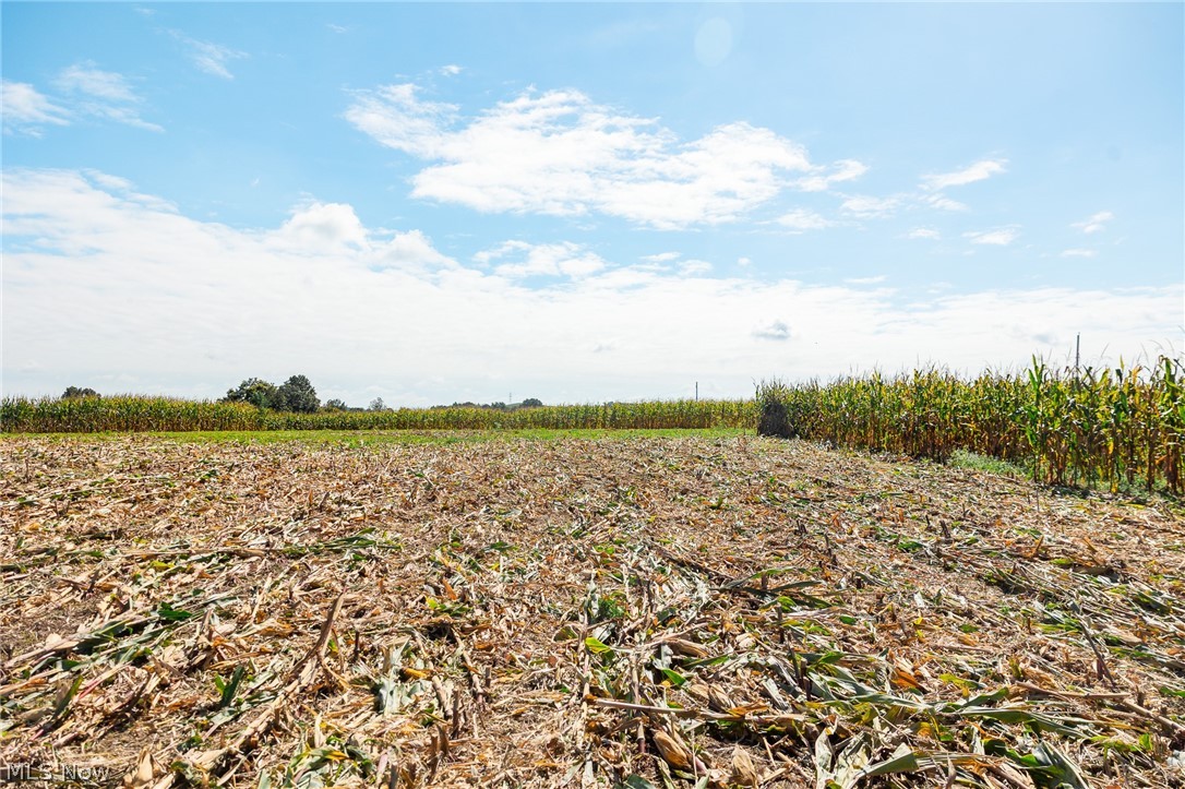 163 County Road 3 Rayland OH 43943
