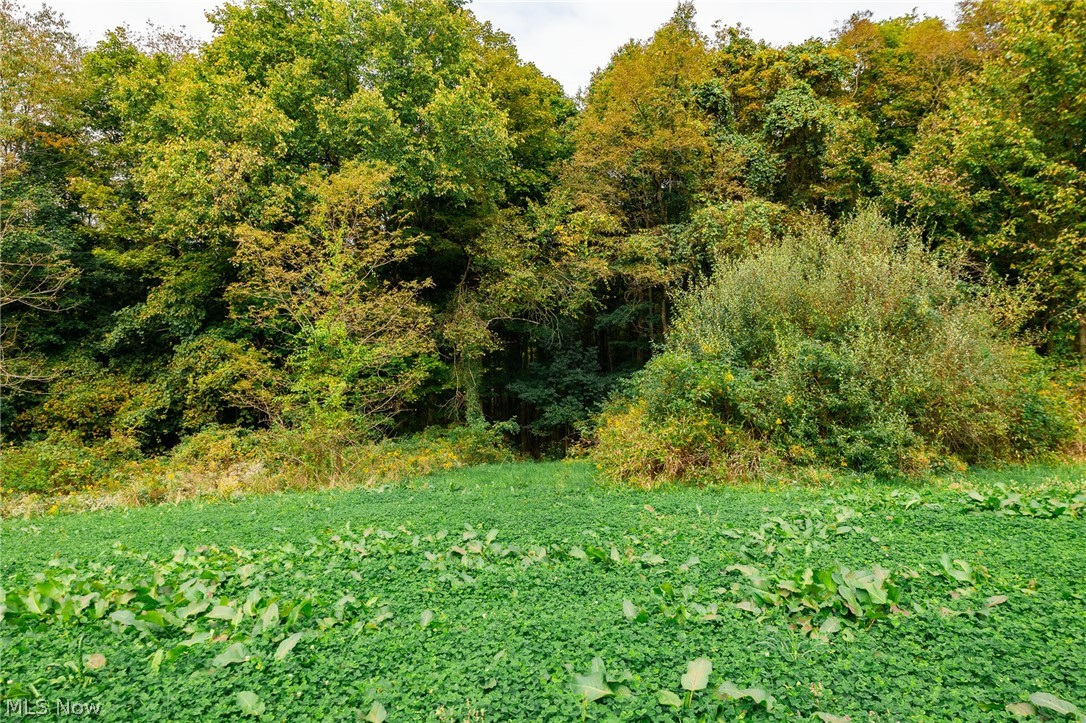 163 County Road 3 Rayland OH 43943