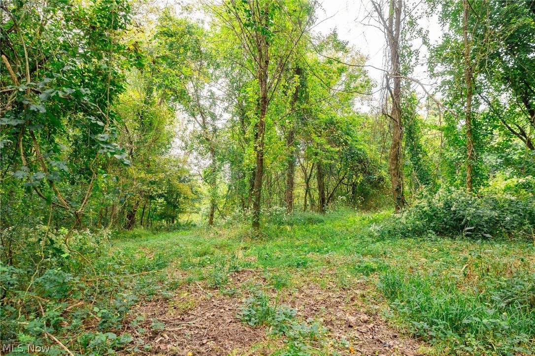 163 County Road 3 Rayland OH 43943