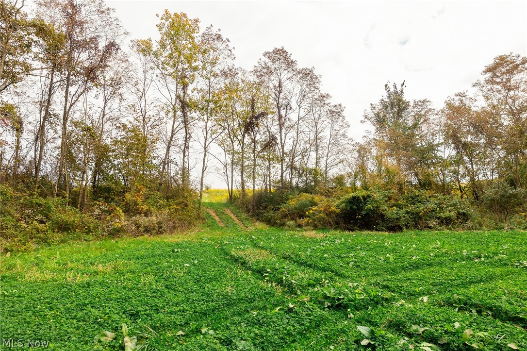 163 County Road 3 Rayland OH 43943
