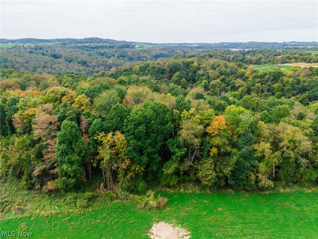 163 County Road 3 Rayland OH 43943