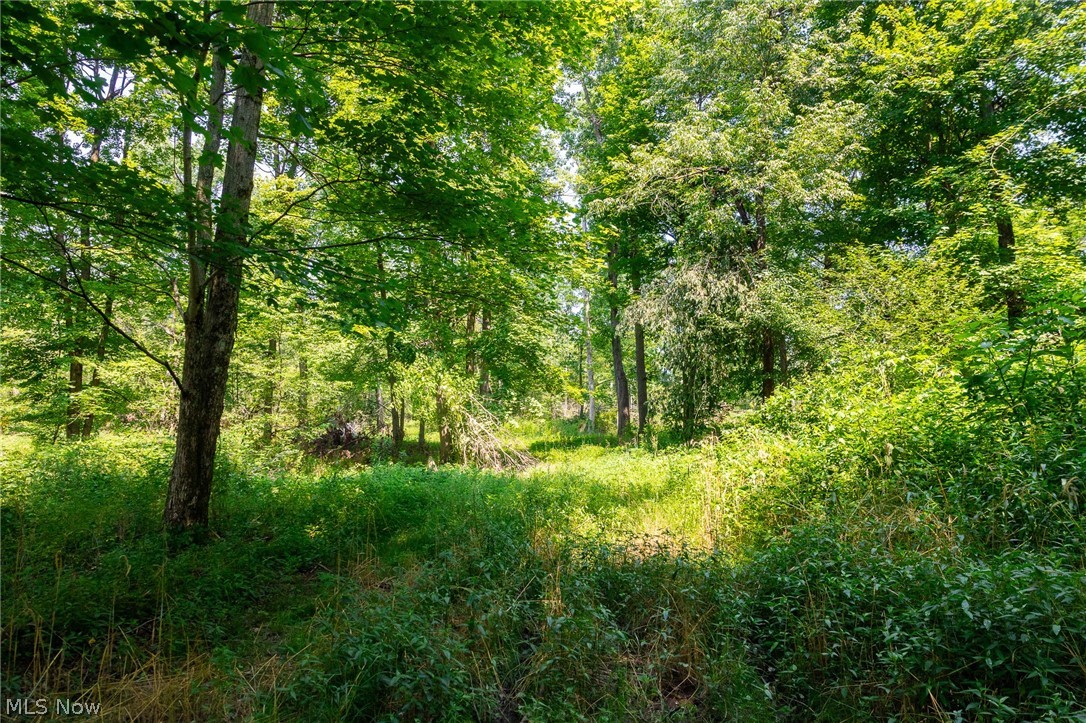 Fink Road Kensington OH 44427