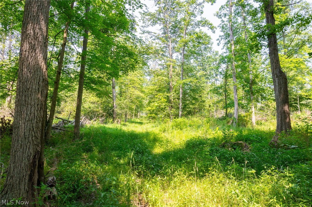 Fink Road Kensington OH 44427