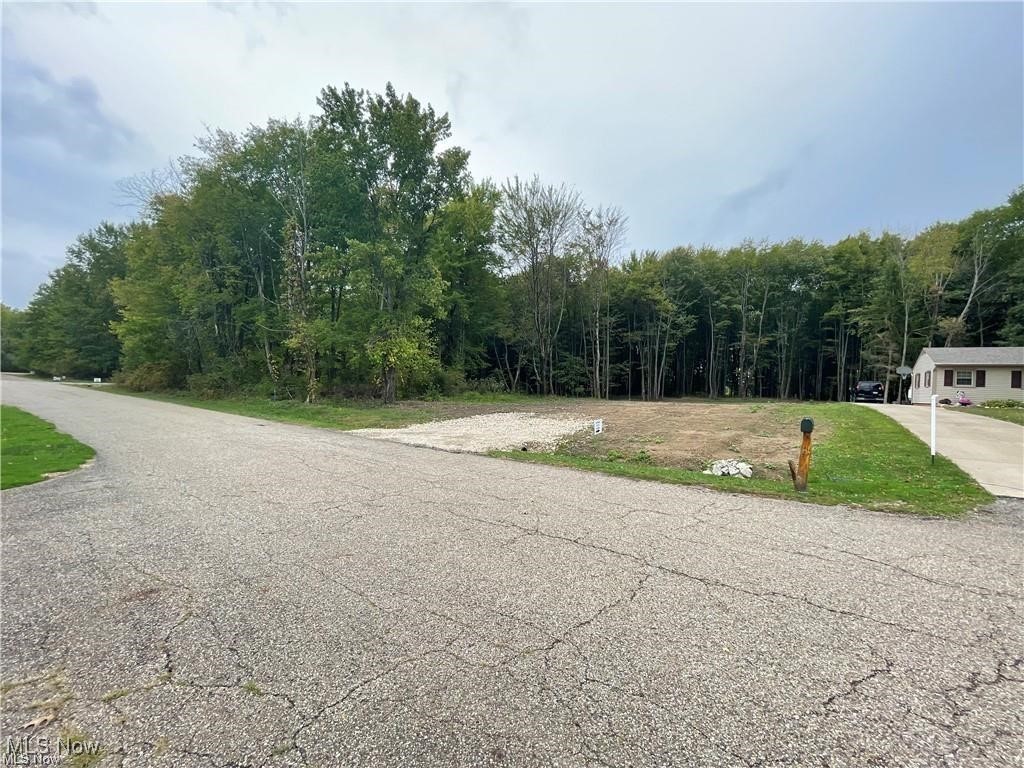 31 Colony Drive Alliance OH 44601