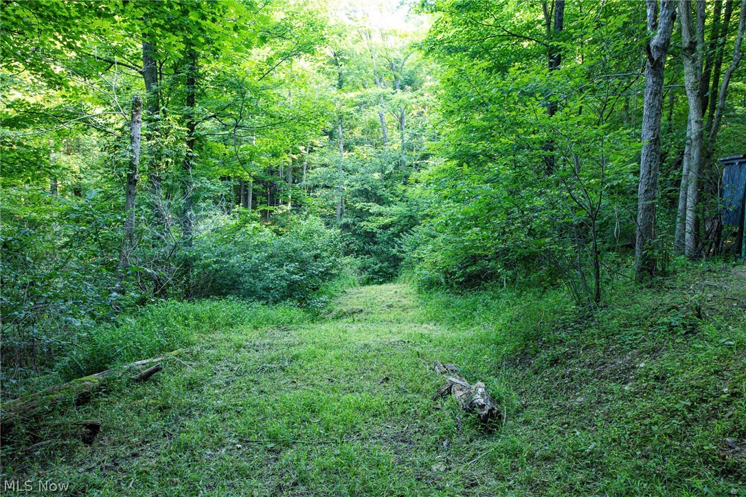 52982 Wegee Road Shadyside OH 43947