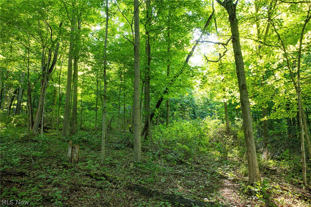 52982 Wegee Road Shadyside OH 43947