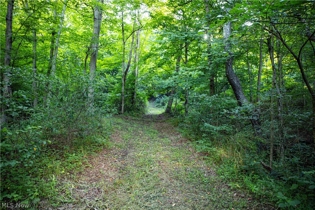 52982 Wegee Road Shadyside OH 43947