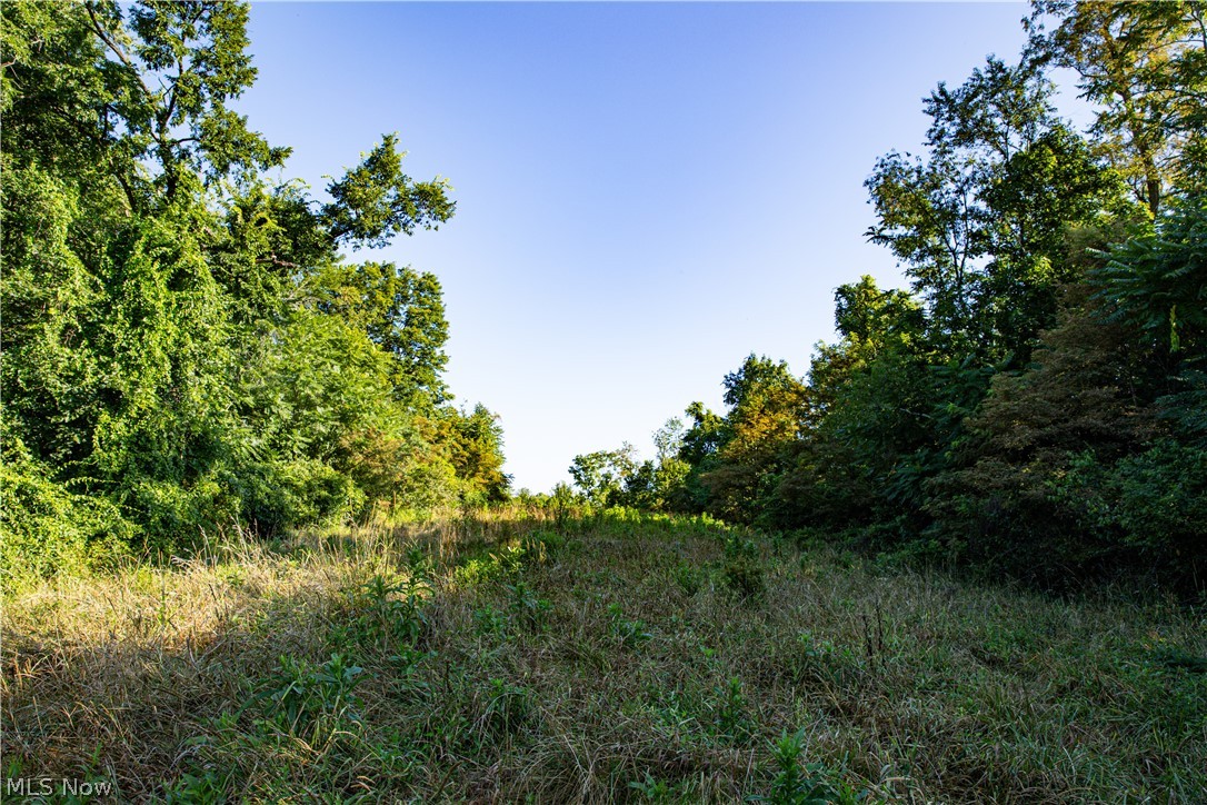 52982 Wegee Road Shadyside OH 43947
