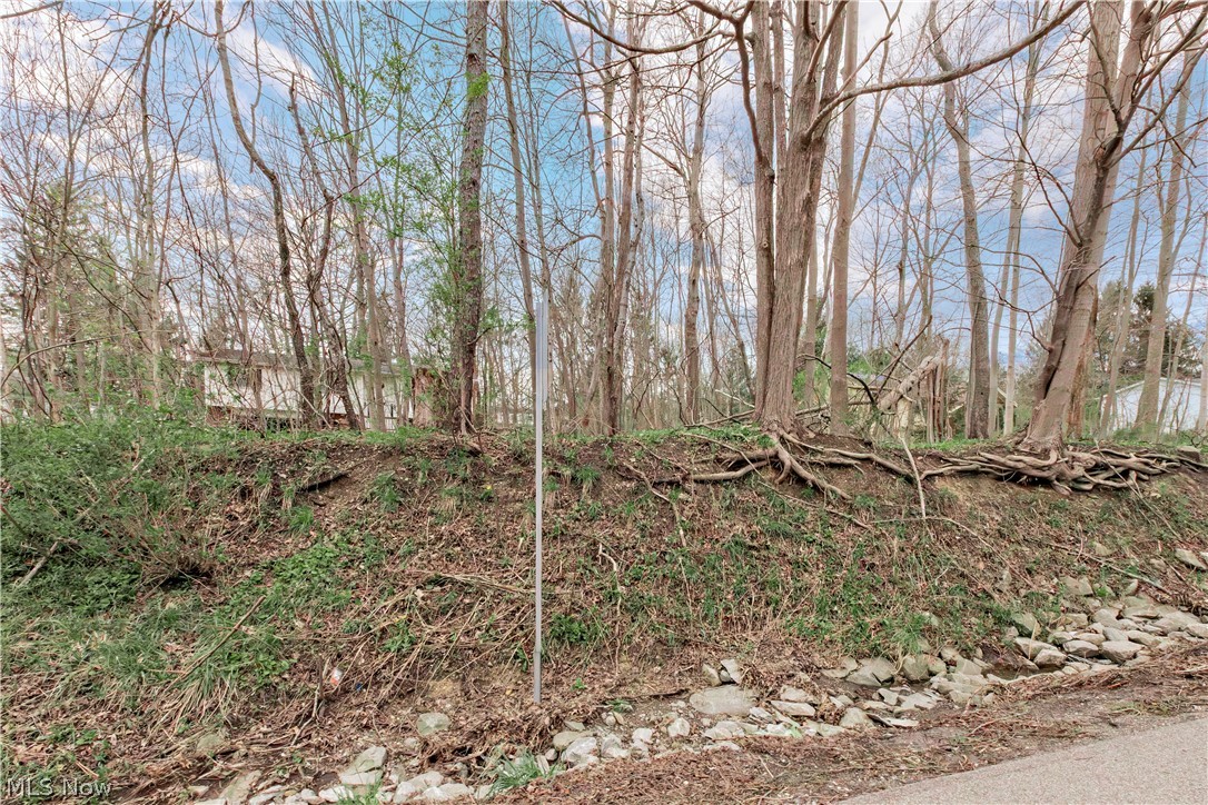 V/l #17 Chillicothe Road Chagrin Falls OH 44023