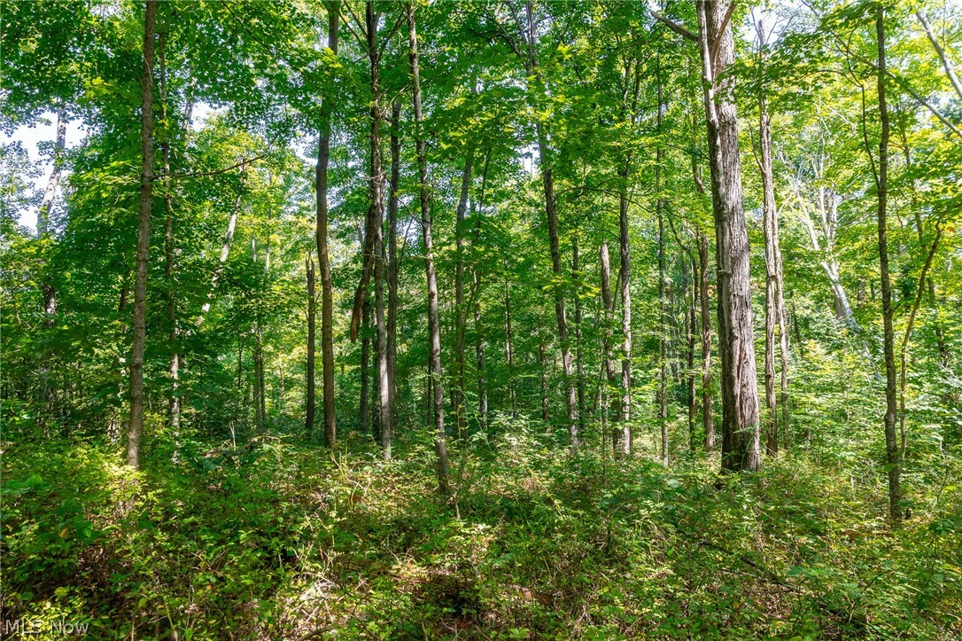 County Road 269 Glouster OH 43730