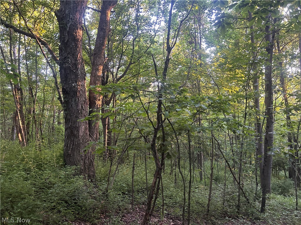 Cr 80 Frazeysburg OH 43822