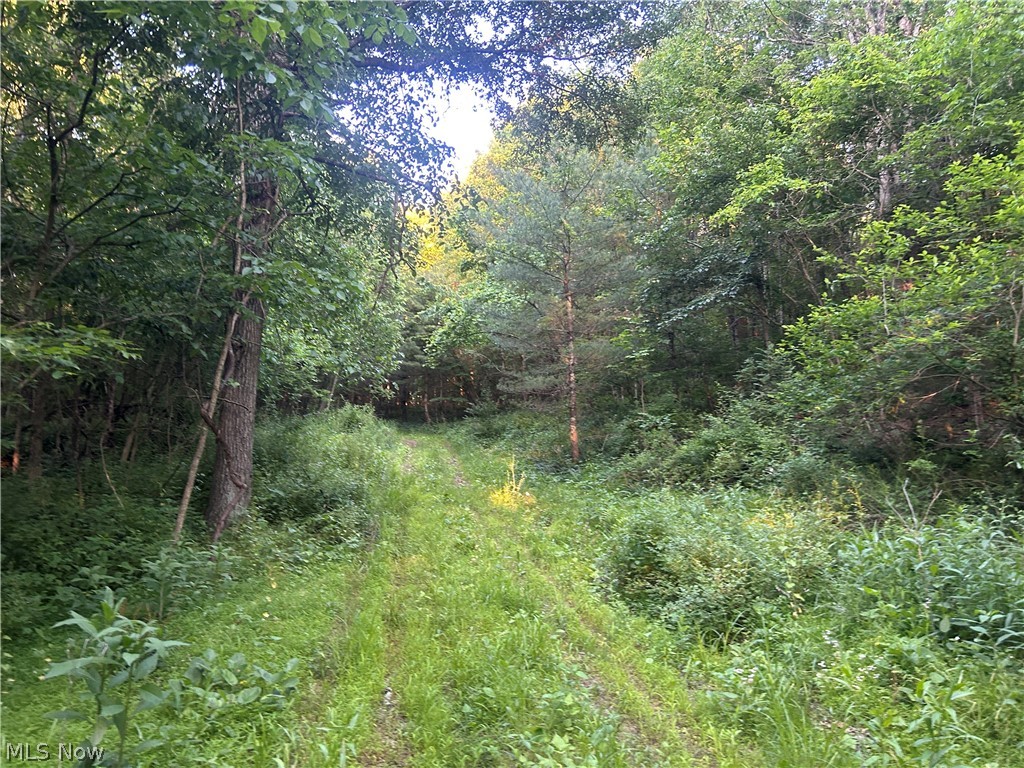 Cr 80 Frazeysburg OH 43822