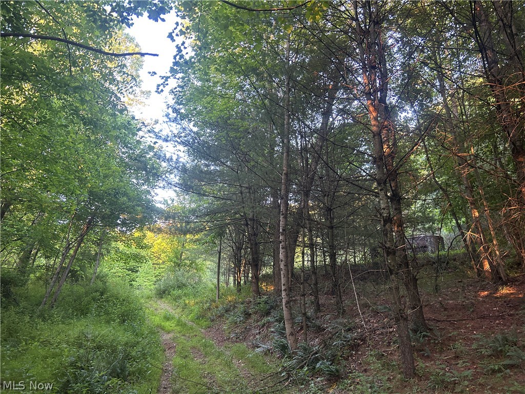 Cr 80 Frazeysburg OH 43822