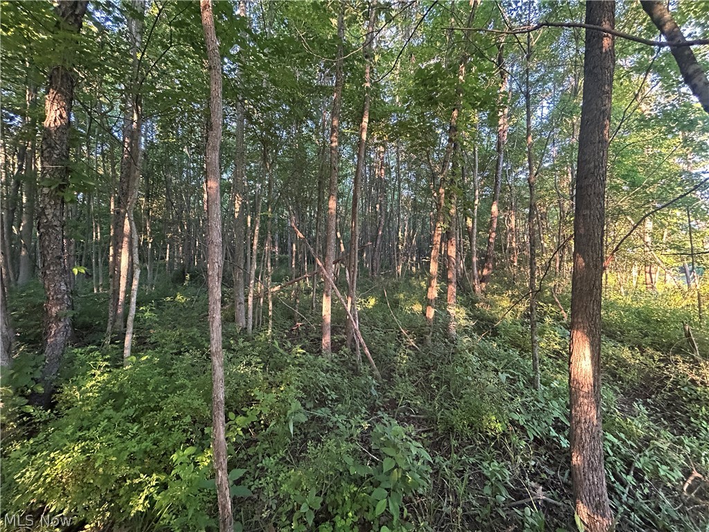 Cr 80 Frazeysburg OH 43822
