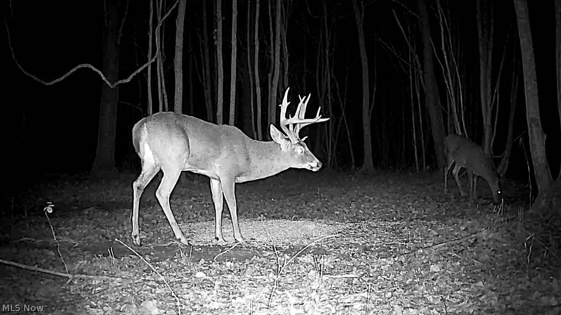 Cr 80 Frazeysburg OH 43822