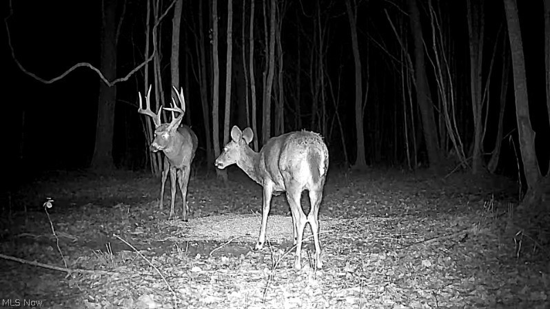 Cr 80 Frazeysburg OH 43822