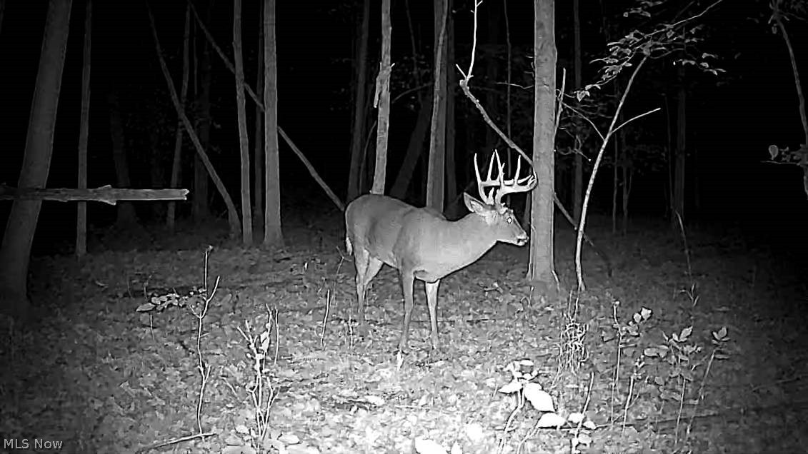 Cr 80 Frazeysburg OH 43822