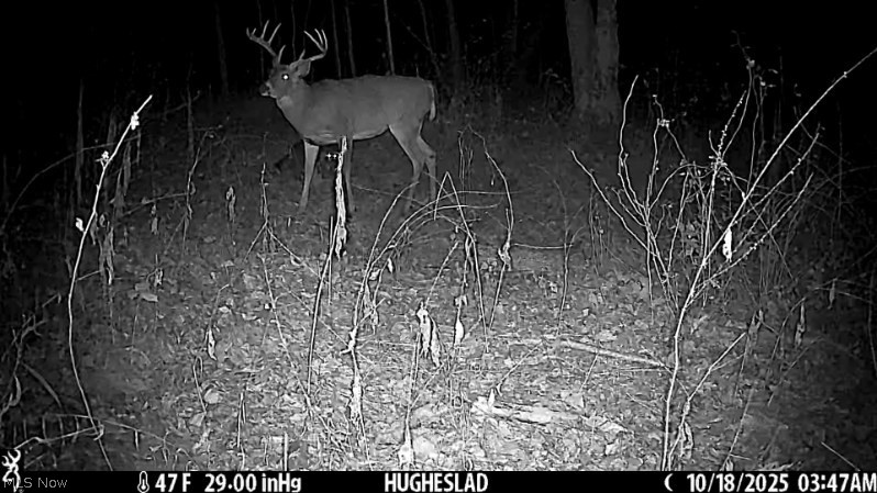 Cr 80 Frazeysburg OH 43822