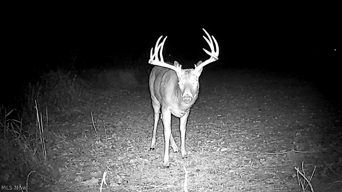 Cr 80 Frazeysburg OH 43822