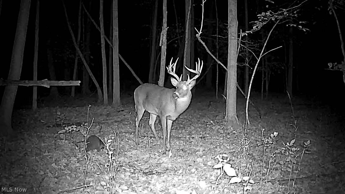 Cr 80 Frazeysburg OH 43822