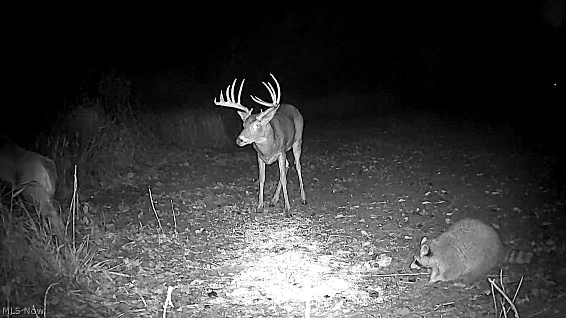 Cr 80 Frazeysburg OH 43822
