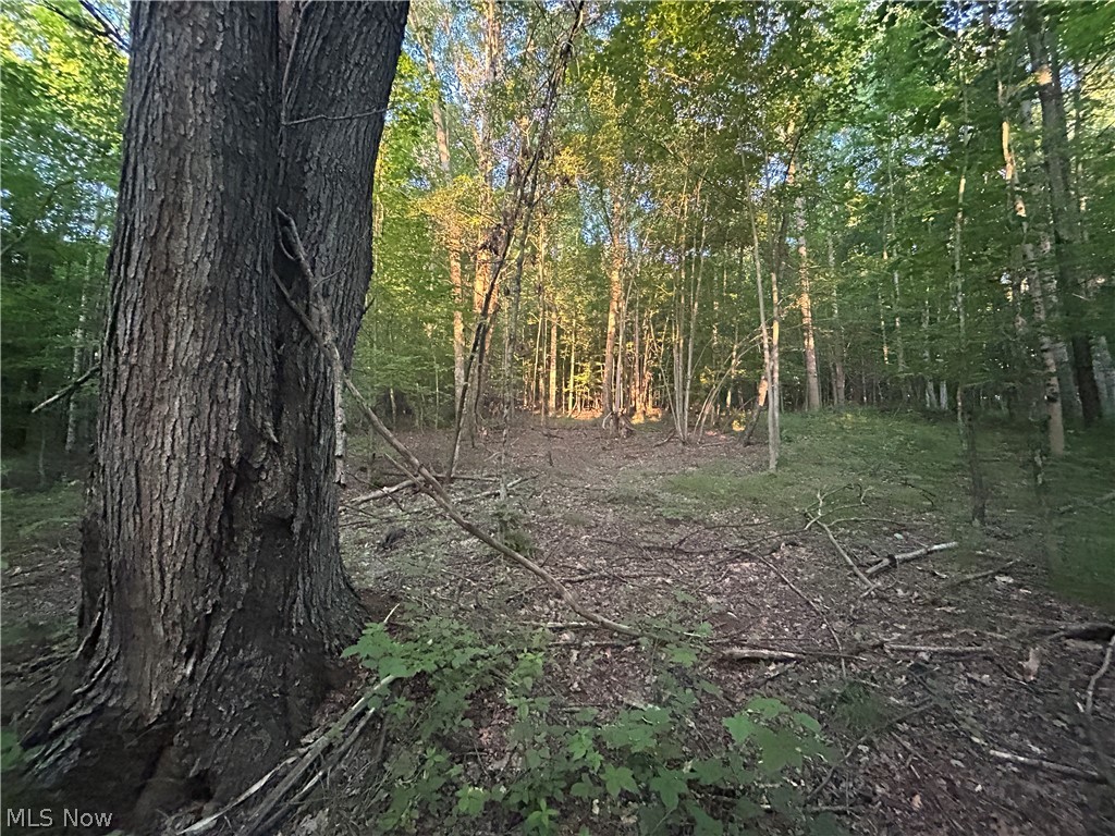 Cr 80 Frazeysburg OH 43822