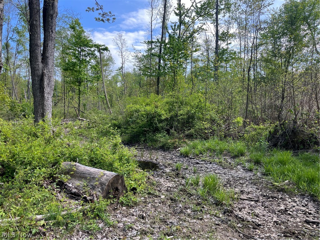 15829 Moseley Road Madison OH 44057