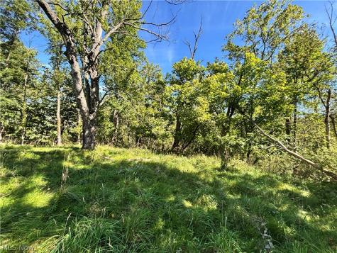 787 Archer Road Bedford OH 44146