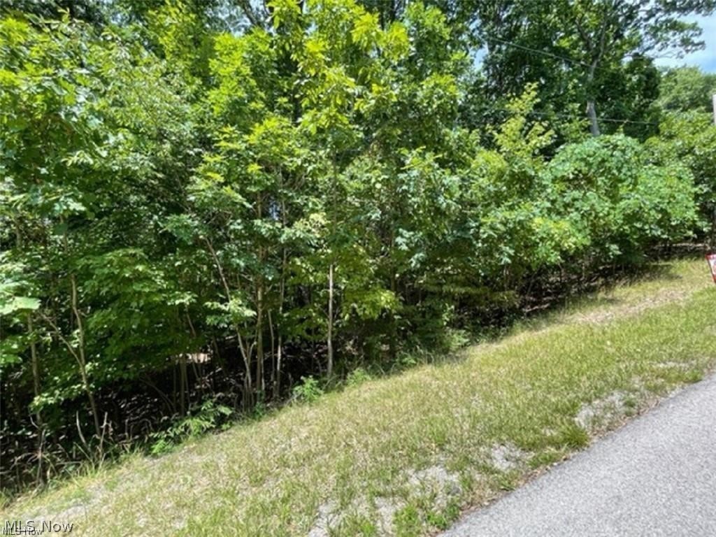 47080 Tomahawk Drive Negley OH 44441