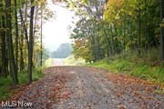 Lot 1 Cattle Drive Barnesville OH 43713