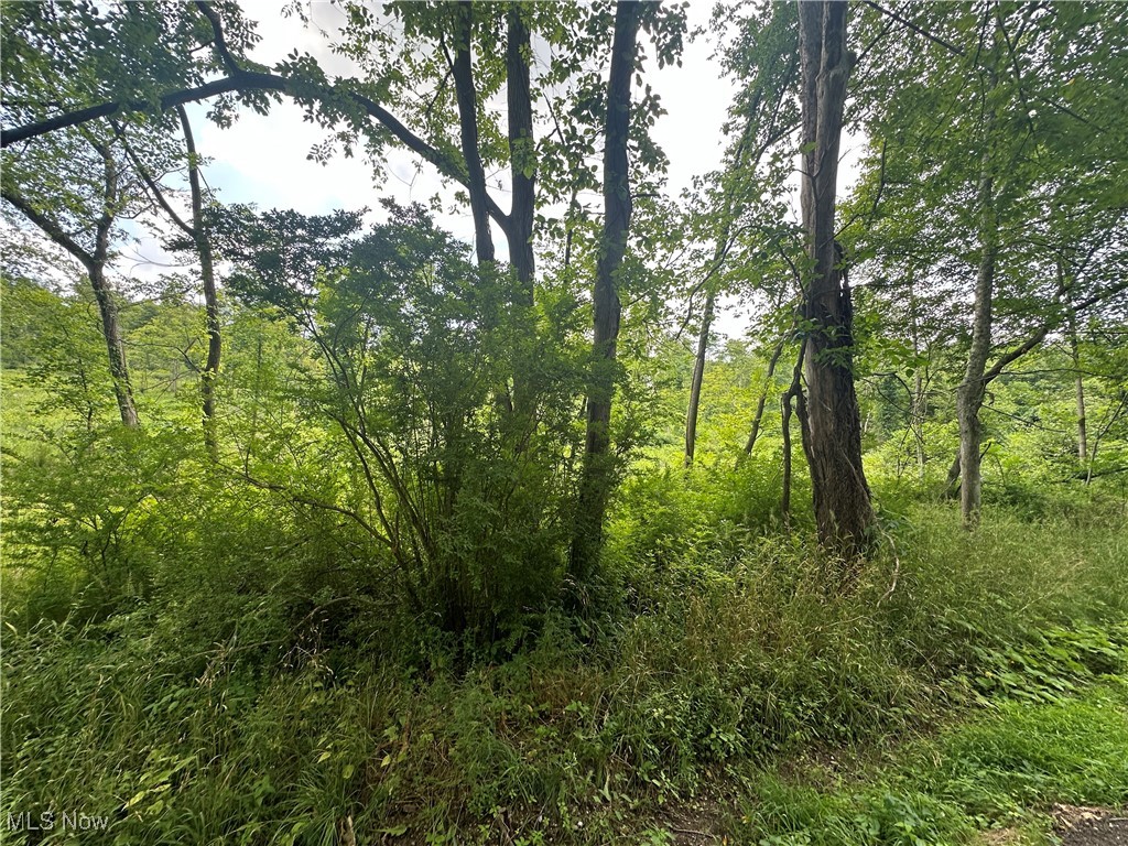 Egypt Road Salem OH 44460
