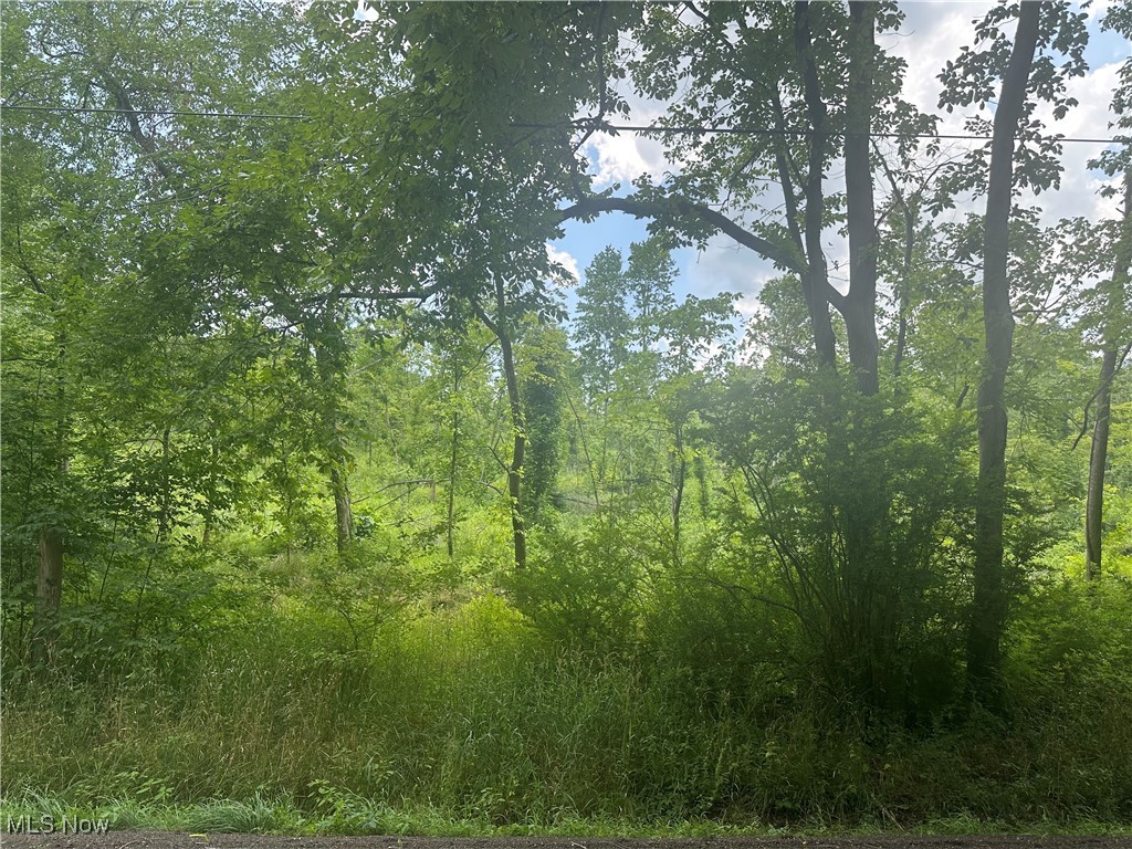 Egypt Road Salem OH 44460