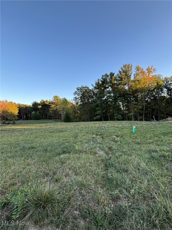 8801 Glen Hallow Drive Broadview Heights OH 44147