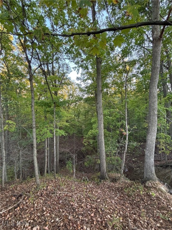 8801 Glen Hallow Drive Broadview Heights OH 44147