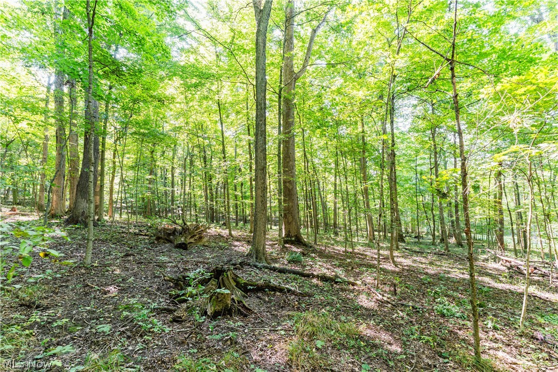 29556 Township Road 209 Coshocton OH 43812