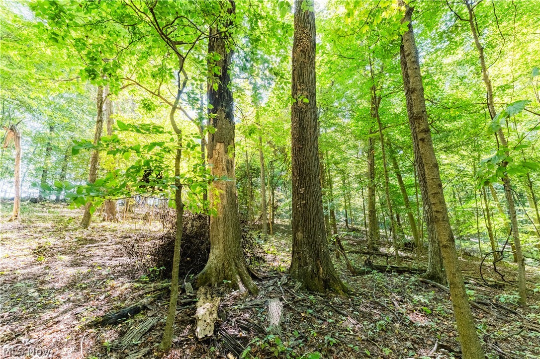 29556 Township Road 209 Coshocton OH 43812