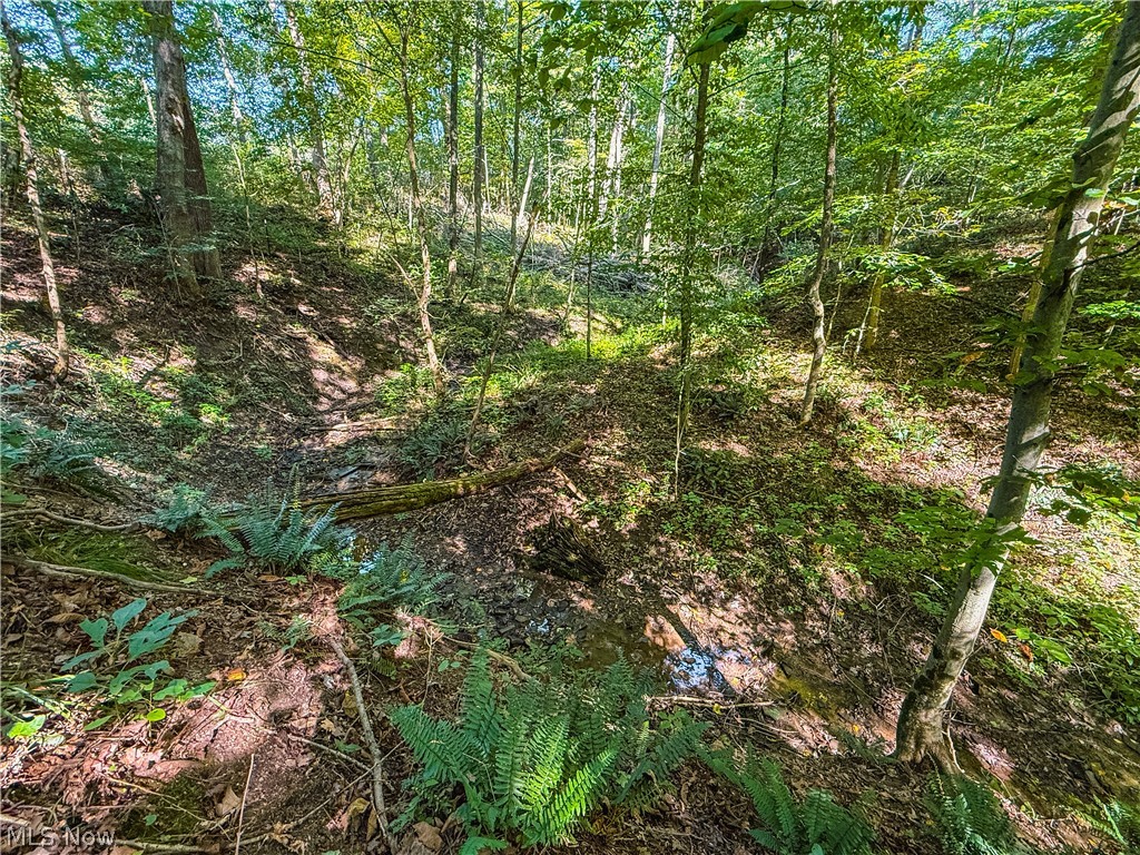 29556 Township Road 209 Coshocton OH 43812