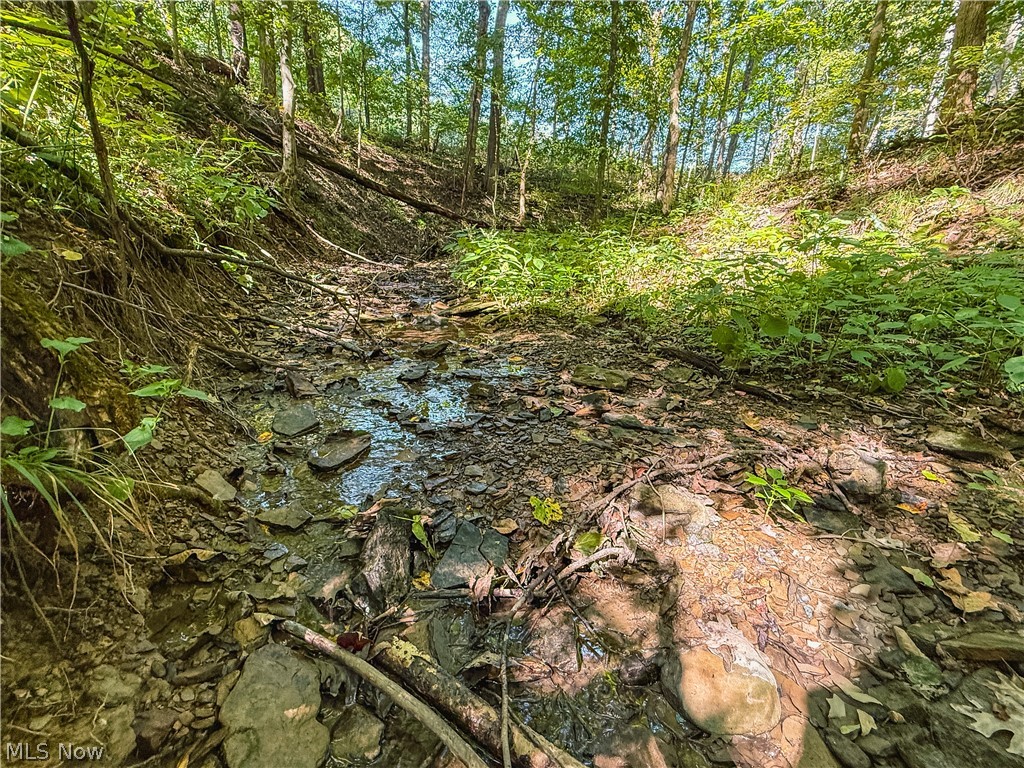 29556 Township Road 209 Coshocton OH 43812