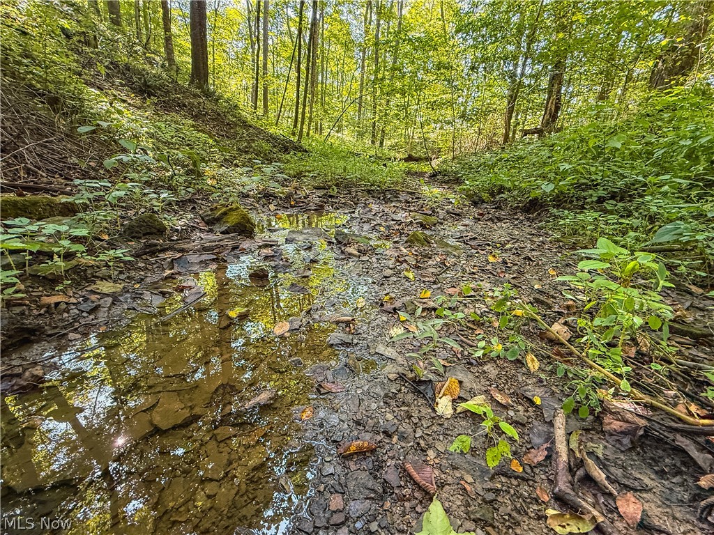 29556 Township Road 209 Coshocton OH 43812