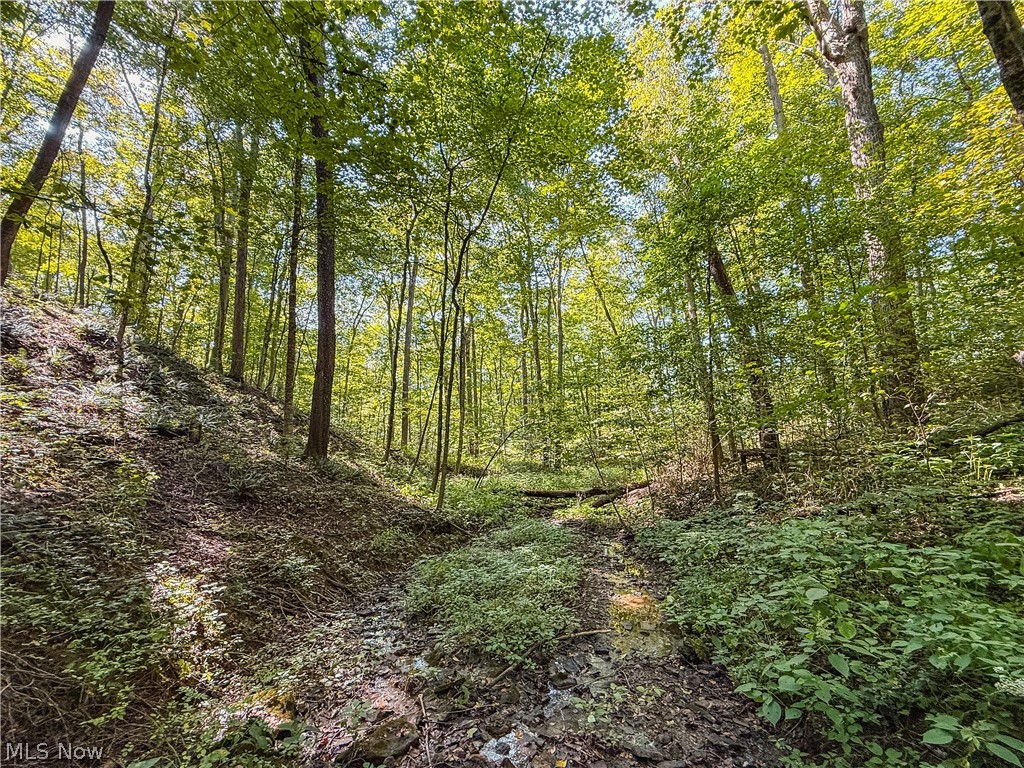 29556 Township Road 209 Coshocton OH 43812