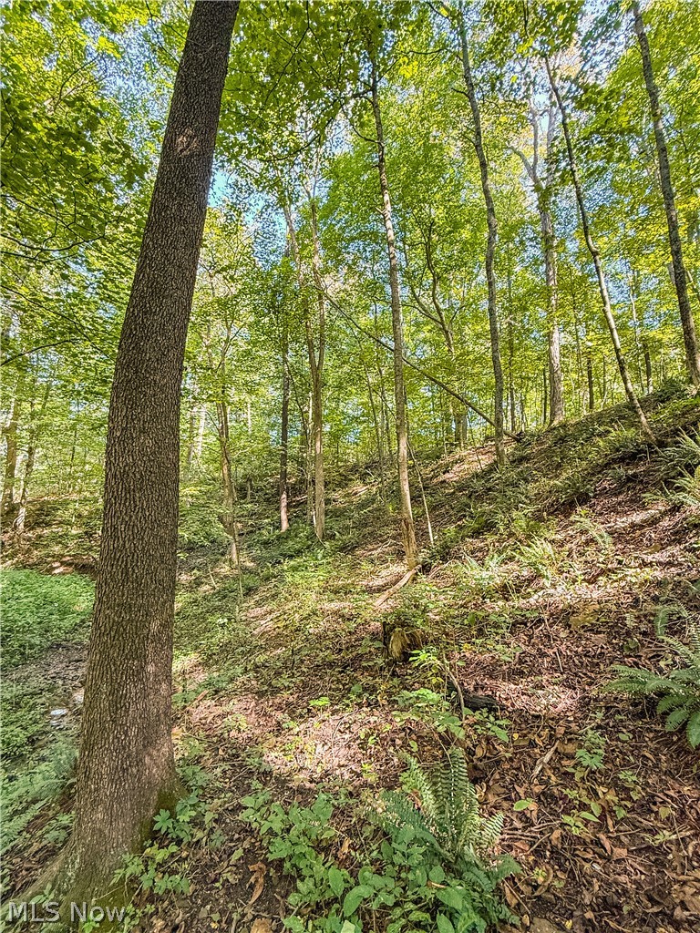 29556 Township Road 209 Coshocton OH 43812